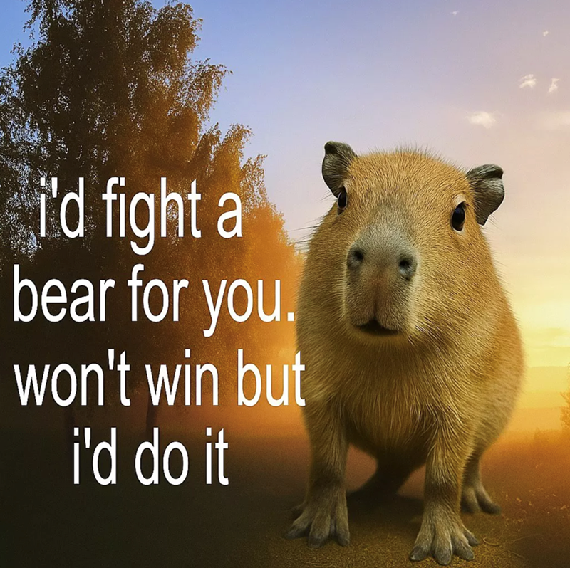 i'd fight a bear for you. won't win but i'd do it