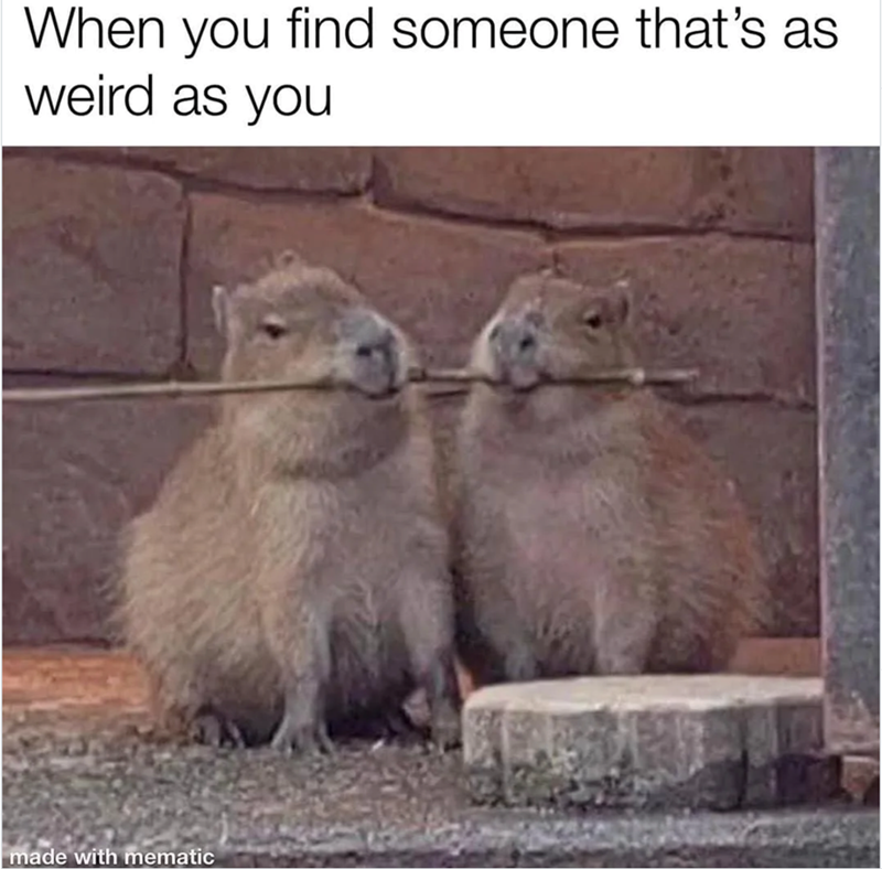 When you find someone that's as weird as you made with mematic