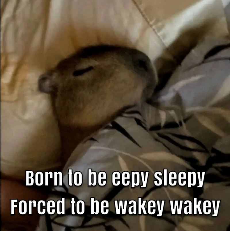 Born to be eepy sleepy Forced to be wakey wakey