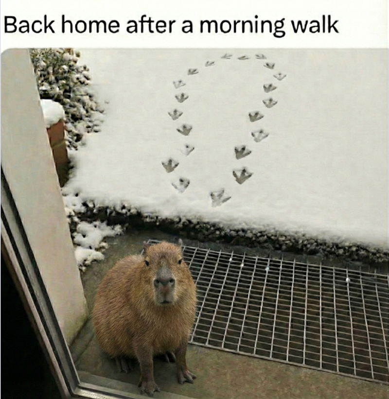 Back home after a morning walk