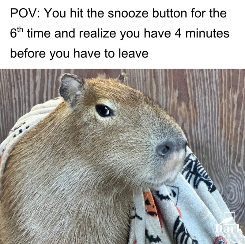 POV: You hit the snooze button for the 6th time and realize you have 4 minutes before you have to leave Dark