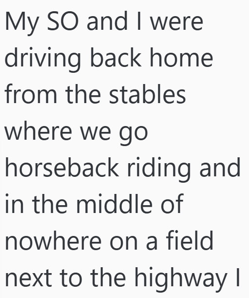 My SO and I were driving back home from the stables where we go horseback riding and in the middle of nowhere on a field next to the highway I