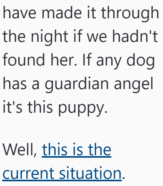 have made it through the night if we hadn't found her. If any dog has a guardian angel it's this puppy. Well, this is the current situation.