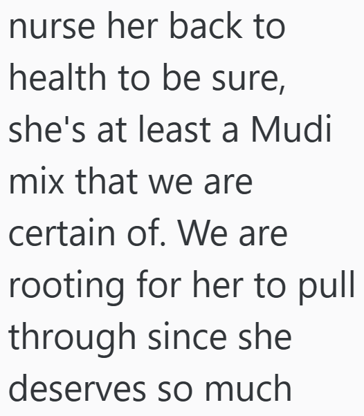 nurse her back to health to be sure, she's at least a Mudi mix that we are certain of. We are rooting for her to pull through since she deserves so much