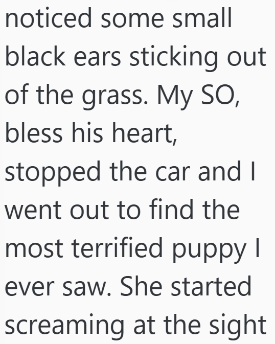 noticed some small black ears sticking out of the grass. My SO, bless his heart, stopped the car and I went out to find the most terrified puppy I ever saw. She started screaming at the sight