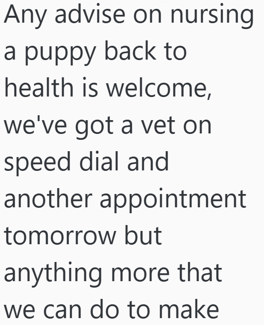 Any advise on nursing a puppy back to health is welcome, we've got a vet on speed dial and another appointment tomorrow but anything more that we can do to make