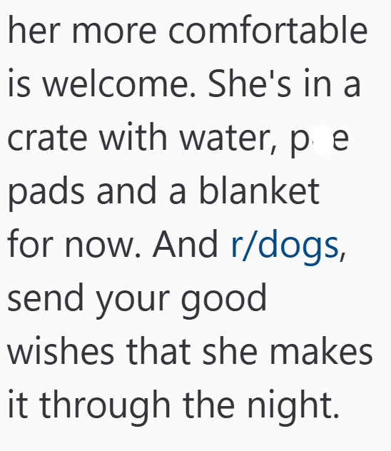 her more comfortable is welcome. She's in a crate with water, pe pads and a blanket for now. And r/dogs, send your good wishes that she makes it through the night.