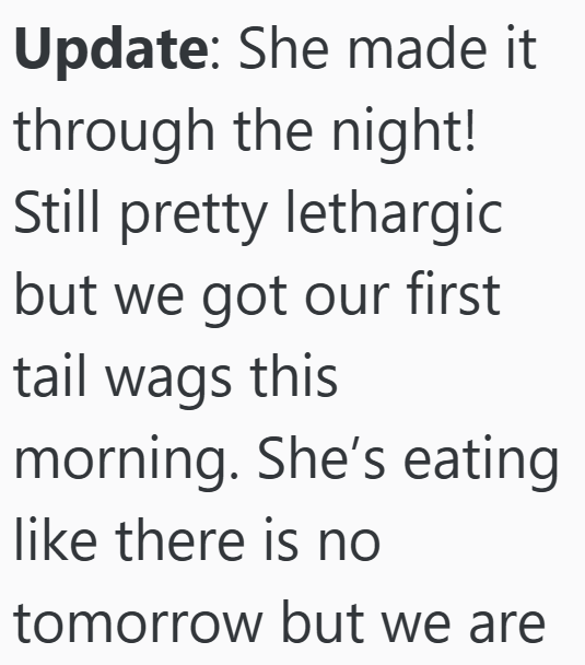 Update: She made it through the night! Still pretty lethargic but we got our first tail wags this morning. She's eating like there is no tomorrow but we are