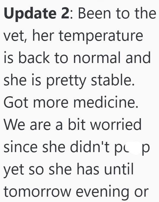Update 2: Been to the vet, her temperature is back to normal and she is pretty stable. Got more medicine. We are a bit worried since she didn't pop yet so she has until tomorrow evening or