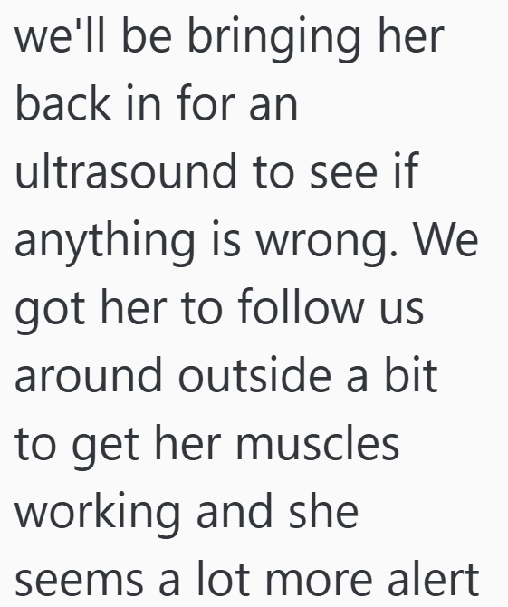 we'll be bringing her back in for an ultrasound to see if anything is wrong. We got her to follow us around outside a bit to get her muscles working and she seems a lot more alert