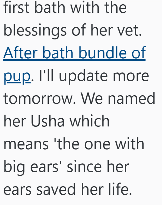 first bath with the blessings of her vet. After bath bundle of pup. I'll update more tomorrow. We named her Usha which means 'the one with big ears' since her ears saved her life.