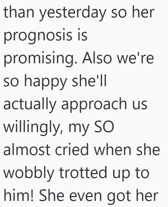 than yesterday so her prognosis is promising. Also we're so happy she'll actually approach us willingly, my SO almost cried when she wobbly trotted up to him! She even got her