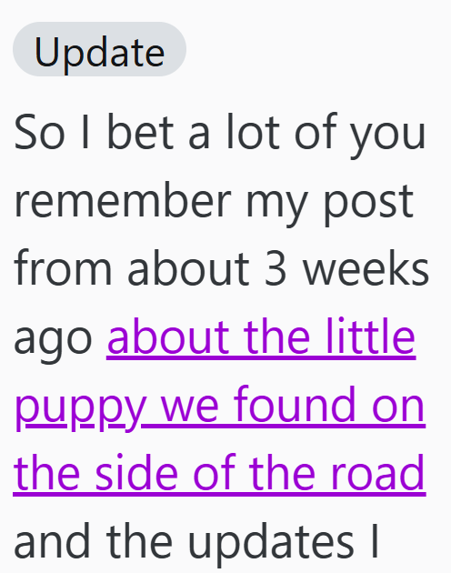 Update So I bet a lot of you remember my post from about 3 weeks ago about the little puppy we found on the side of the road and the updates I