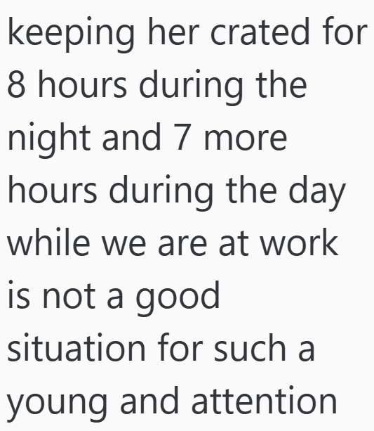 keeping her crated for 8 hours during the night and 7 more hours during the day while we are at work is not a good situation for such a young and attention