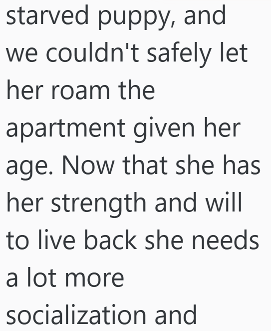 starved puppy, and we couldn't safely let her roam the apartment given her age. Now that she has her strength and will to live back she needs a lot more socialization and