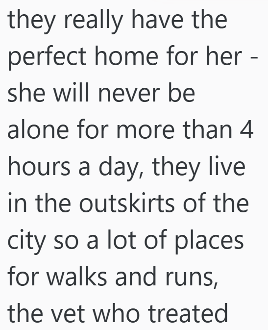 they really have the perfect home for her - she will never be alone for more than 4 hours a day, they live in the outskirts of the city so a lot of places for walks and runs, the vet who treated