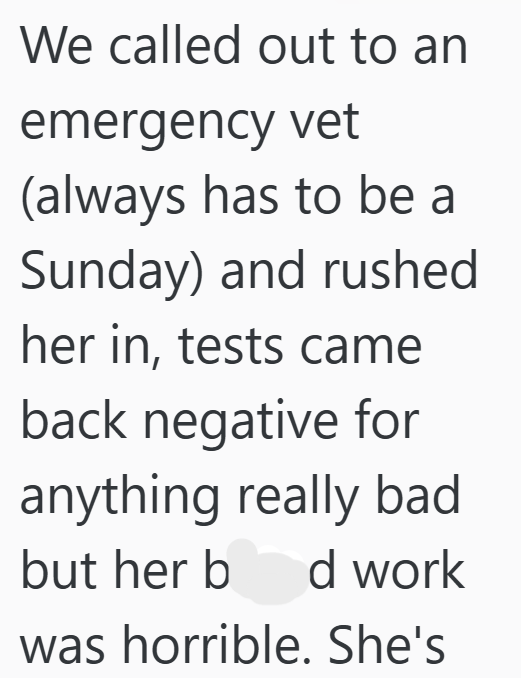 We called out to an emergency vet (always has to be a Sunday) and rushed her in, tests came back negative for anything really bad but her b d work was horrible. She's