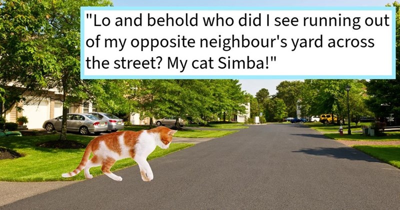 "Lo and behold who did I see running out of my opposite neighbour's yard across the street? My cat Simba!"