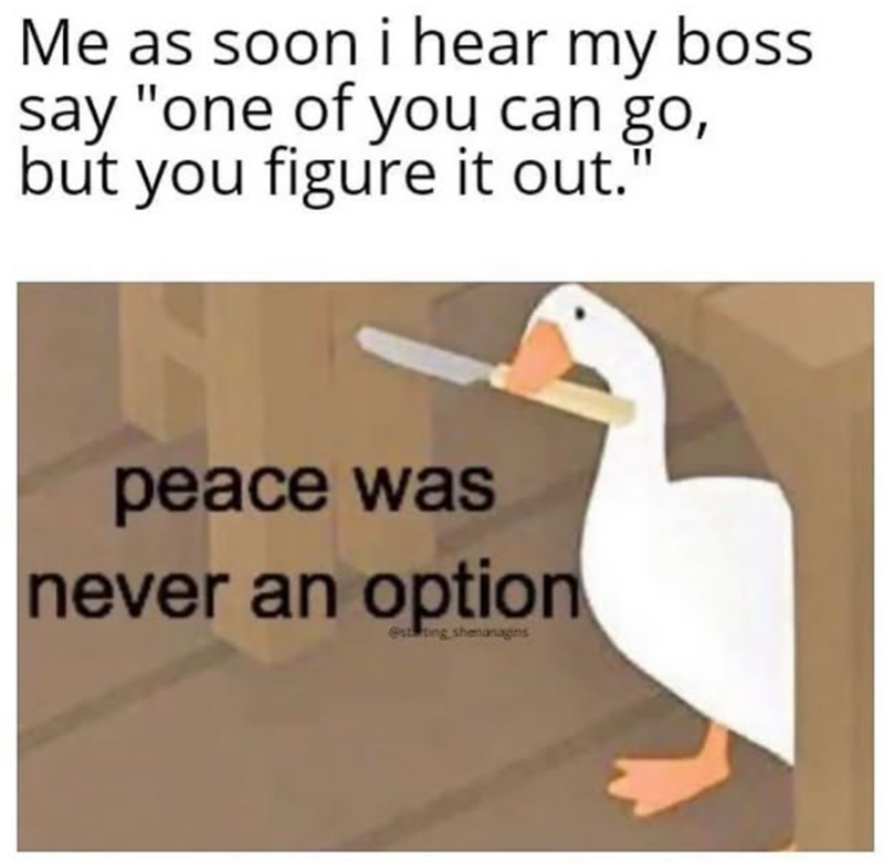 Me as soon i hear my boss say "one of you can go, but you figure it out." peace was never an option @stating shenaragins