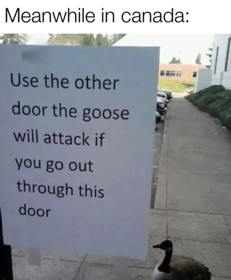 Meanwhile in canada: Use the other door the goose will attack if you go out through this door