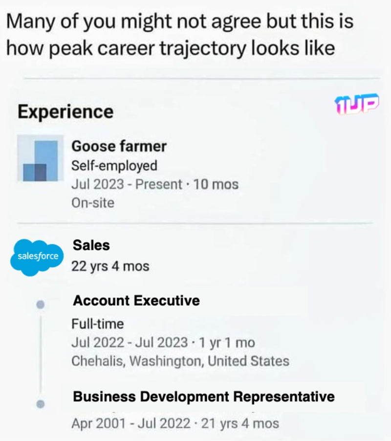 Many of you might not agree but this is how peak career trajectory looks like Experience Goose farmer Self-employed Jul 2023 - Present · 10 mos On-site salesforce Sales 22 yrs 4 mos Account Executive Full-time Jul 2022-Jul 2023-1 yr 1 mo Chehalis, Washington, United States Business Development Representative Apr 2001 Jul 2022 21 yrs 4 mos TUT
