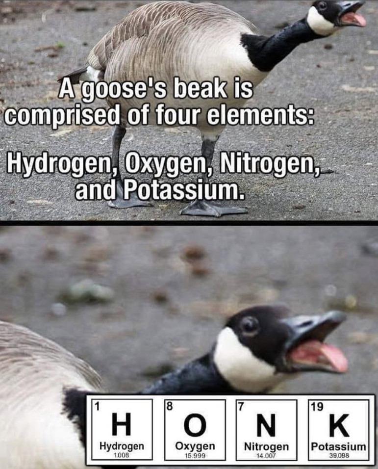 A goose's beak is comprised of four elements: Hydrogen, Oxygen, Nitrogen, and Potassium. 1 H 8 19 N K Hydrogen Oxygen Nitrogen Potassium 1.008 15.999 14.007 39.098