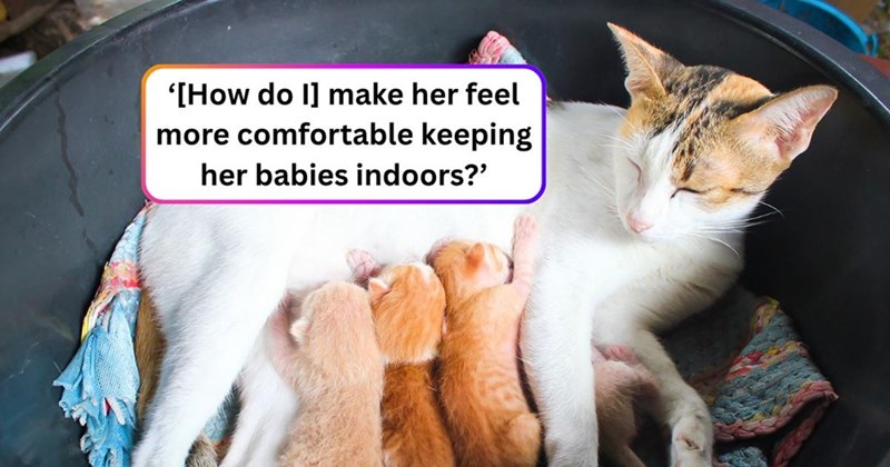 '[How do I] make her feel more comfortable keeping her babies indoors?'