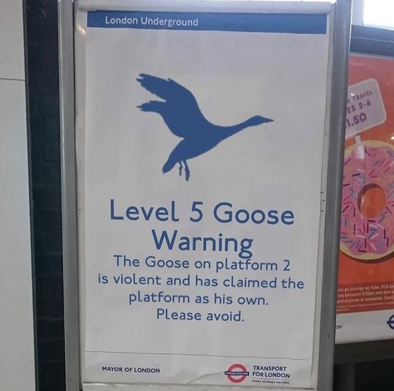 London Underground TRAVEL ES 2-6 1.50 Level 5 Goose Warning The Goose on platform 2 is violent and has claimed the platform as his own. Please avoid. you go journey on Tube DLR a ces between 9.30am and 4pm a and anytime at weekends Sear MAYOR OF LONDON TRANSPORT GROUND FOR LONDON EVERY JOURNEY MATTERS ON