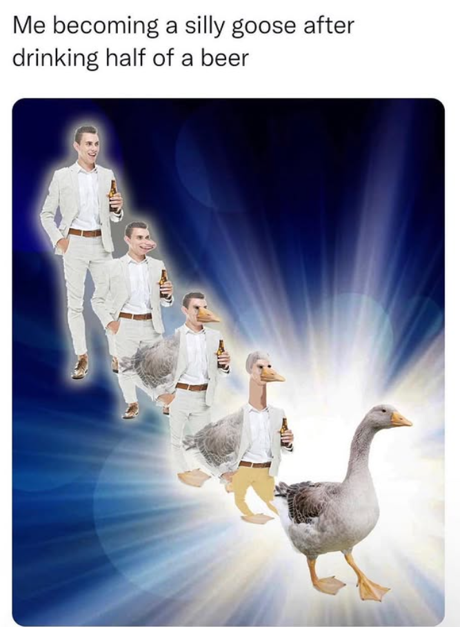 Me becoming a silly goose after drinking half of a beer