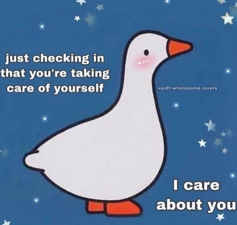 just checking in that you're taking care of yourself asoft.wholesome.lovers I care about you *