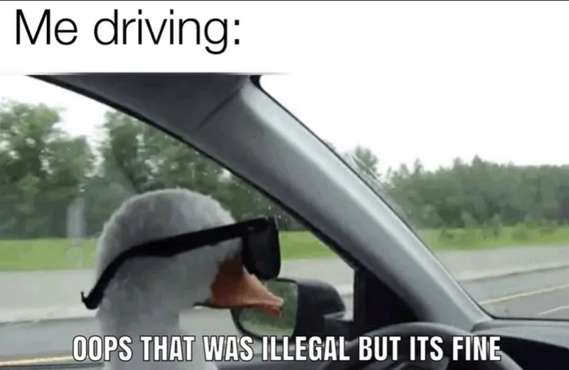 Me driving: OOPS THAT WAS ILLEGAL BUT ITS FINE