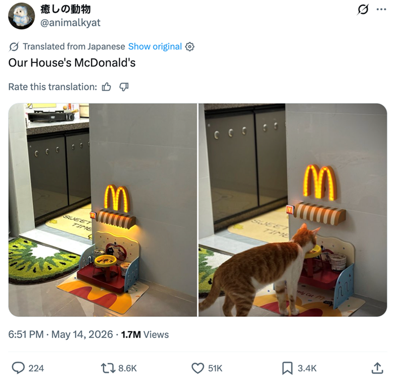 癒しの動物 @animalkyat Translated from Japanese Show original Our House's McDonald's Rate this translation: 000 ссс SWEET TIME M TIME 6:51 PM - May 14, 2026 1.7M Views 224 18.6K M ty Cat 51K ☐ 3.4K m ...
