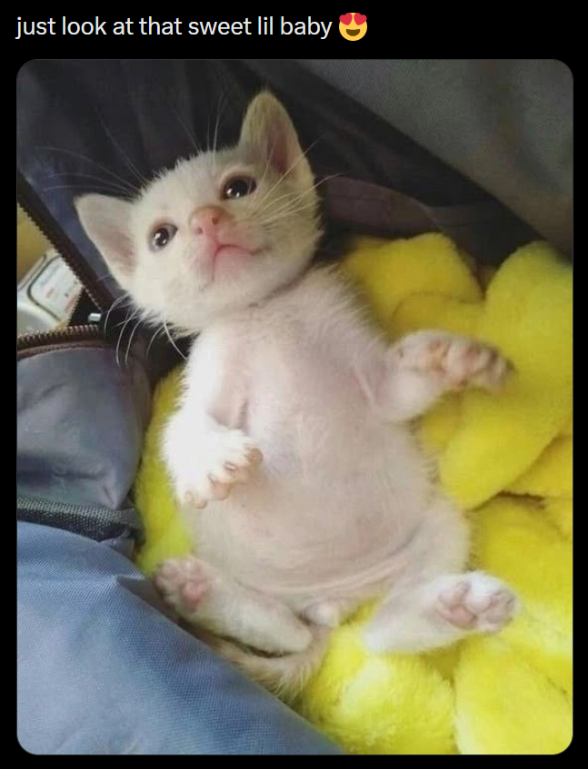 just look at that sweet lil baby