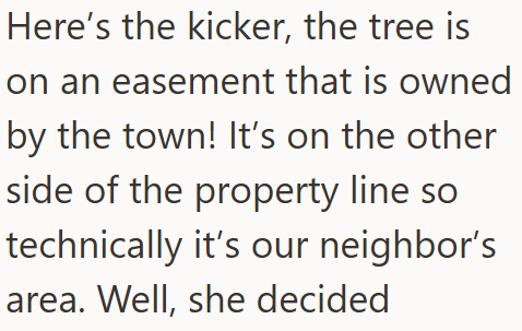 Here's the kicker, the tree is on an easement that is owned by the town! It's on the other side of the property line so technically it's our neighbor's area. Well, she decided