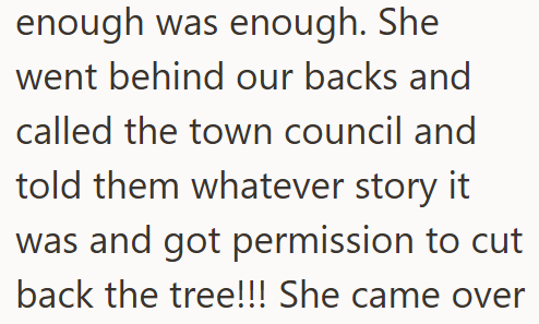 enough was enough. She went behind our backs and called the town council and told them whatever story it was and got permission to cut back the tree!!! She came over