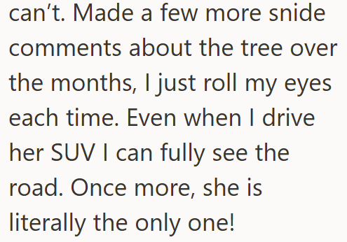 can't. Made a few more snide comments about the tree over the months, I just roll my eyes each time. Even when I drive her SUV I can fully see the road. Once more, she is literally the only one!