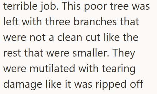 terrible job. This poor tree was left with three branches that were not a clean cut like the rest that were smaller. They were mutilated with tearing damage like it was ripped off