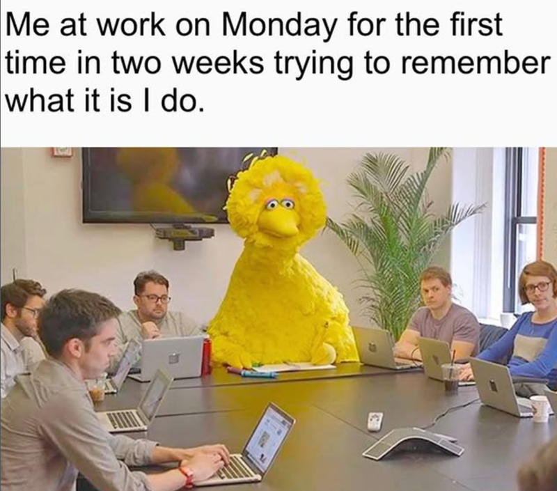 Me at work on Monday for the first time in two weeks trying to remember what it is I do.