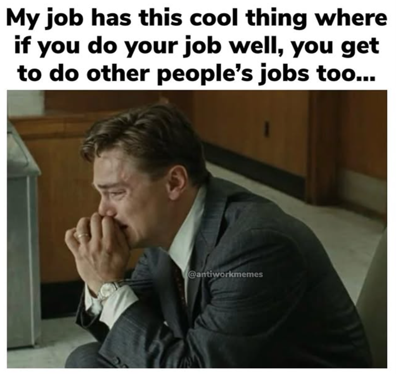 My job has this cool thing where if you do your job well, you get to do other people's jobs too... @antiworkmemes