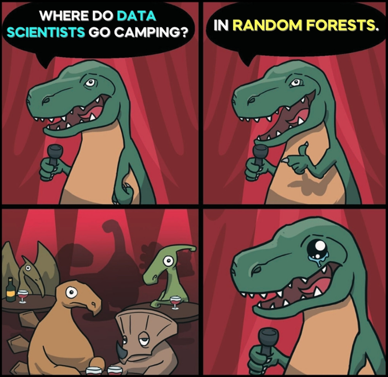 WHERE DO DATA SCIENTISTS GO CAMPING? IN RANDOM FORESTS. Abo