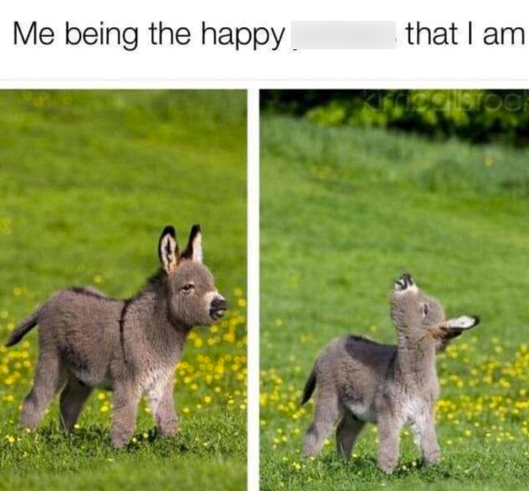 Me being the happy that I am