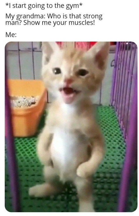 *I start going to the gym* My grandma: Who is that strong man? Show me your muscles! Me: