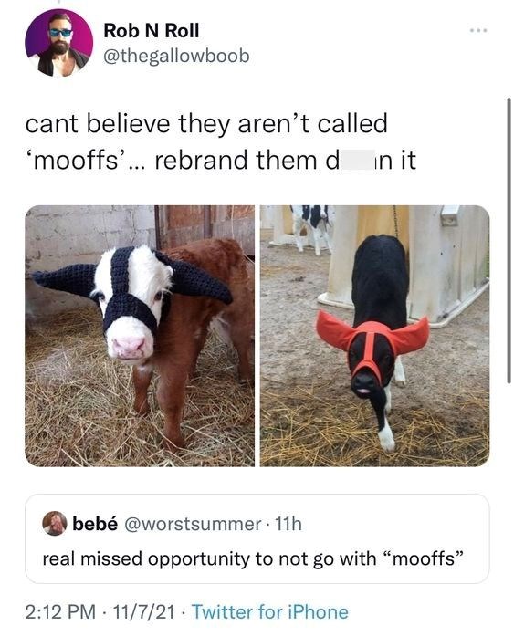 Rob N Roll @thegallowboob cant believe they aren't called 'mooffs'... rebrand them din it bebé @worstsummer 11h real missed opportunity to not go with "mooffs" 2:12 PM 11/7/21 Twitter for iPhone