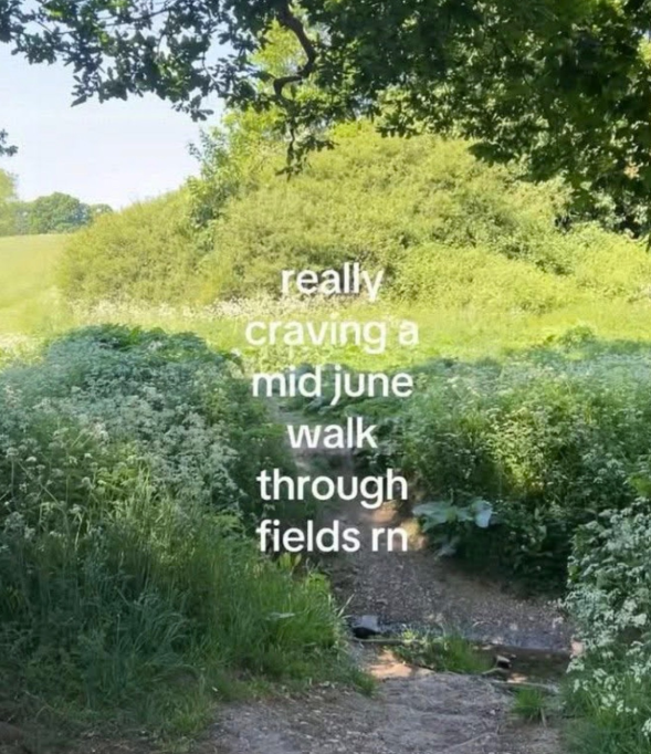 really craving a mid june walk through fields rn