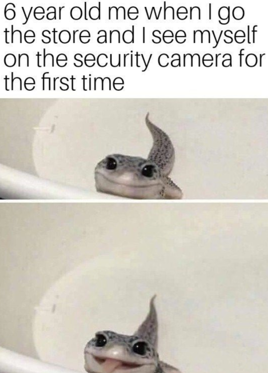 6 year old me when I go the store and I see myself on the security camera for the first time