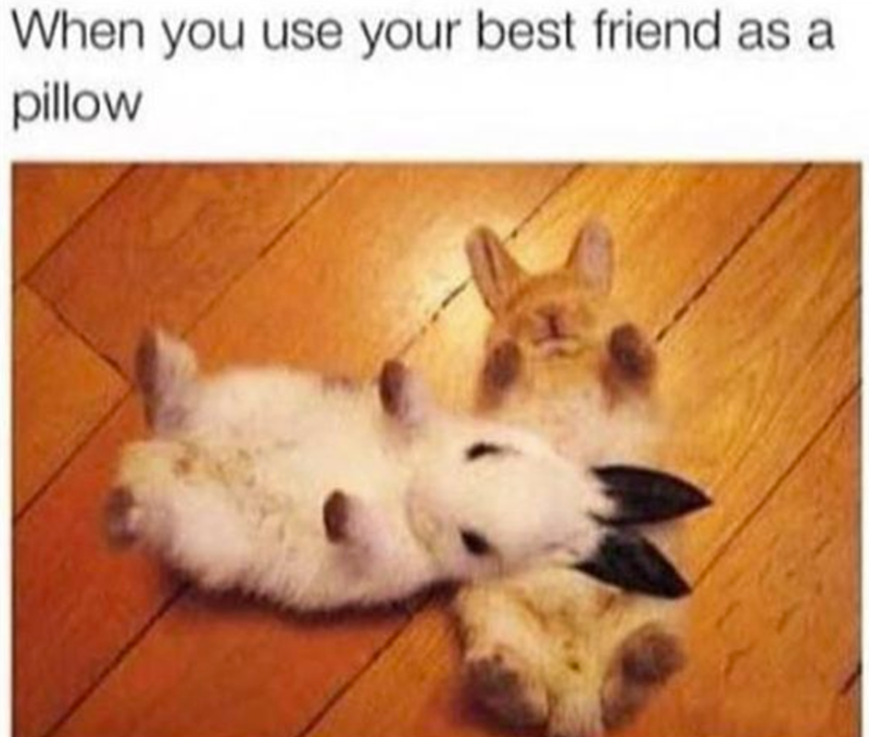 When you use your best friend as a pillow