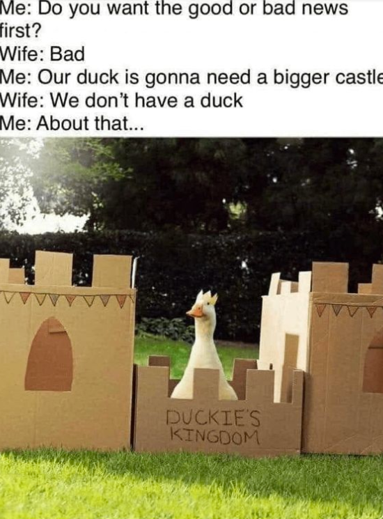 Me: Do you want the good or bad news first? Wife: Bad Me: Our duck is gonna need a bigger castle Wife: We don't have a duck Me: About that... DUCKIE'S KINGDOM