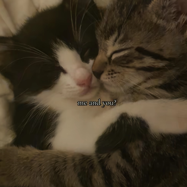 me and you?