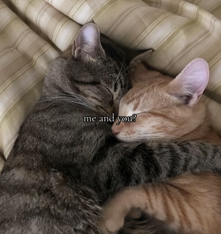 me and you?