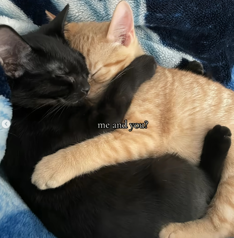 me and you?